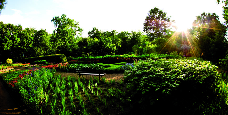 Plenerowa szkoła tańca i jogi w Zabrzu – zapisz się na wyjątkowe wydarzenie!