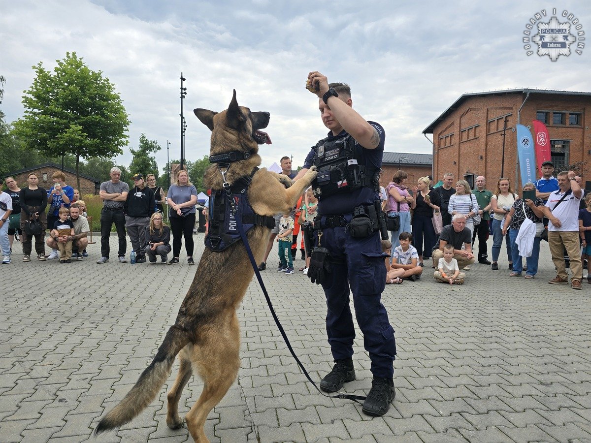 Festyn "Dzień Bezpieczeństwa" w Zabrzu. Wydarzenie pełne pokazów i nauki