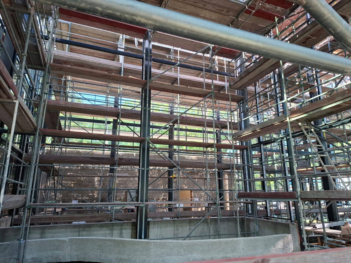 Nowa szklarnia w Miejskim Ogrodzie Botanicznym w Zabrzu - nowoczesność w sercu natury