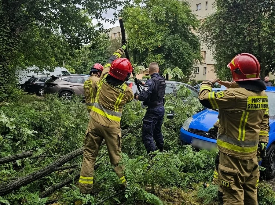 Policjanci pomagają w usuwaniu skutków załamania pogody