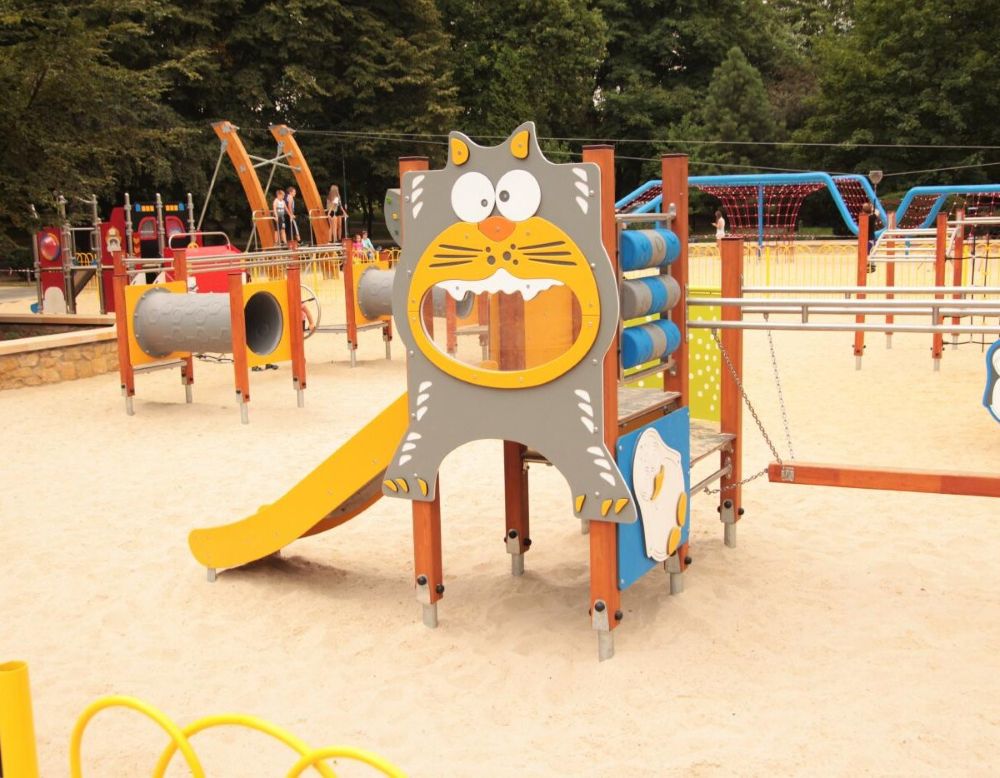 Wypadek na tyrolce w Parku Róż – 12-latek doznał uszkodzenia kręgów