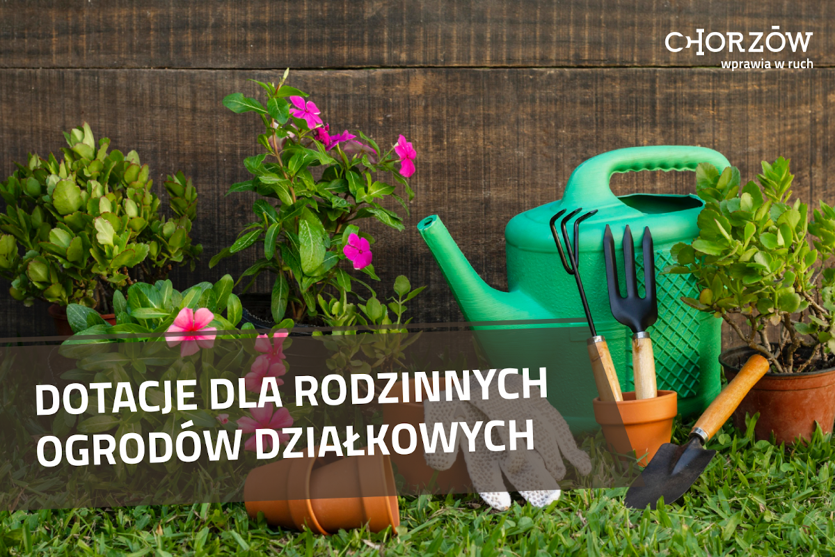 Chorzów kontynuuje wsparcie dla ogrodów działkowych – podpisano umowy dotacyjne