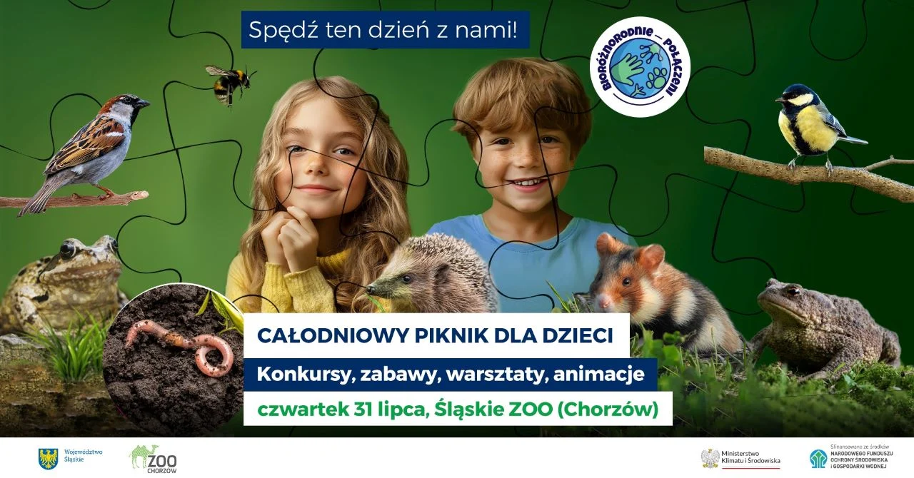 Śląskie ZOO zaprasza na całodniowy piknik dla dzieci