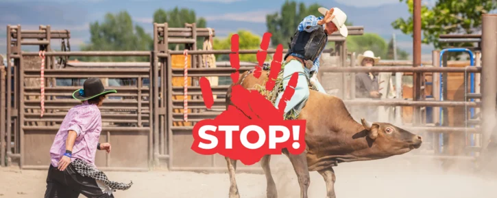 W Gliwicach ma odbyć się rodeo. Środowiska prozwierzęce protestują