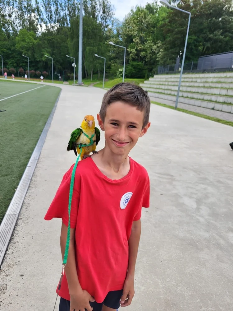 Konkurs wakacyjny 22