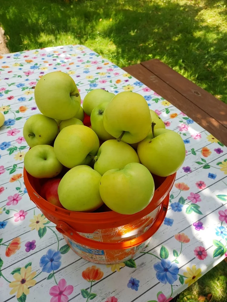 Konkurs wakacyjny 26