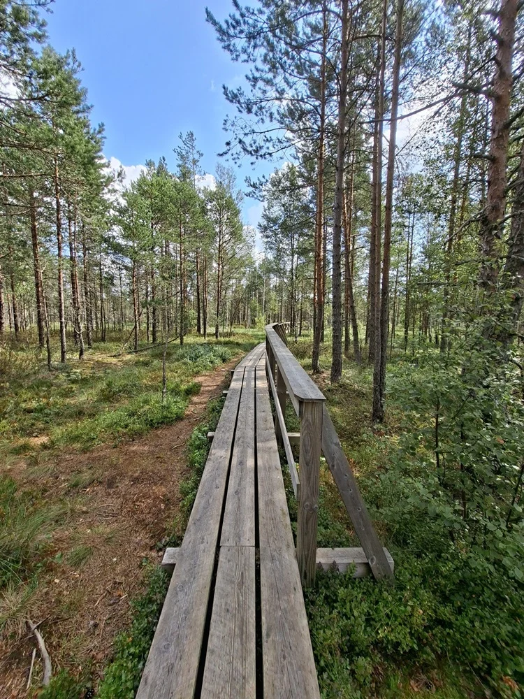 Konkurs wakacyjny 35