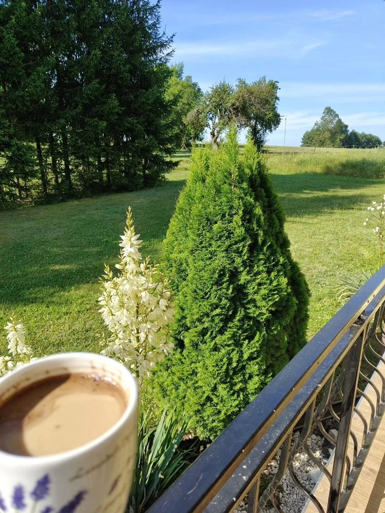 Konkurs wakacyjny 51