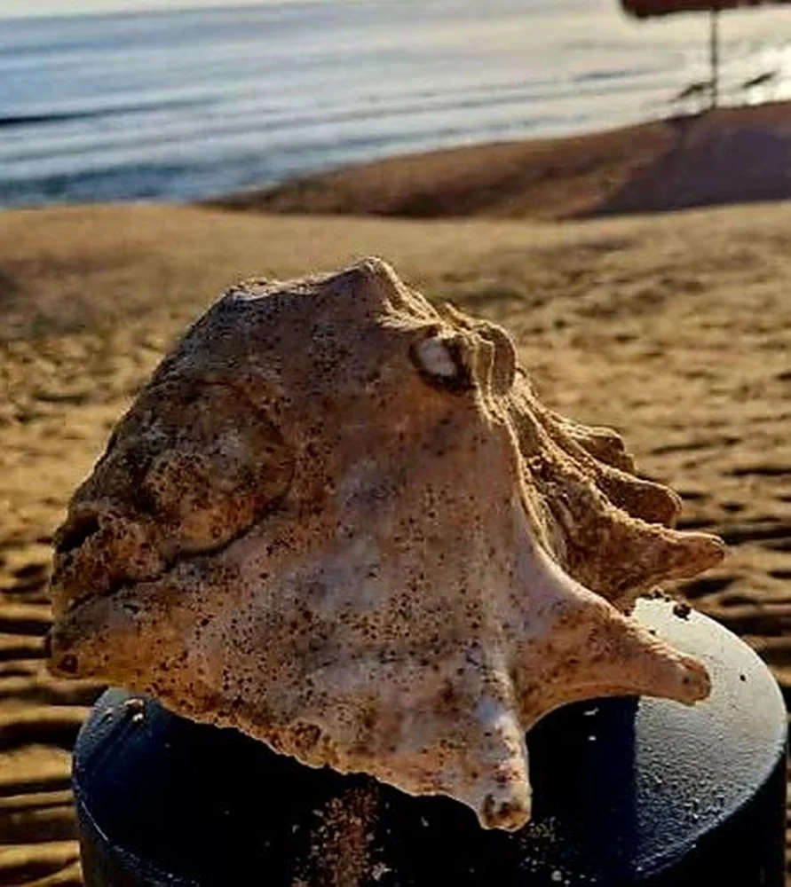 Konkurs wakacyjny 63