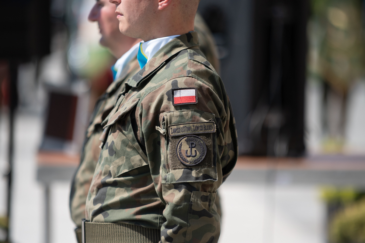 Obchody Święta Wojska Polskiego 19