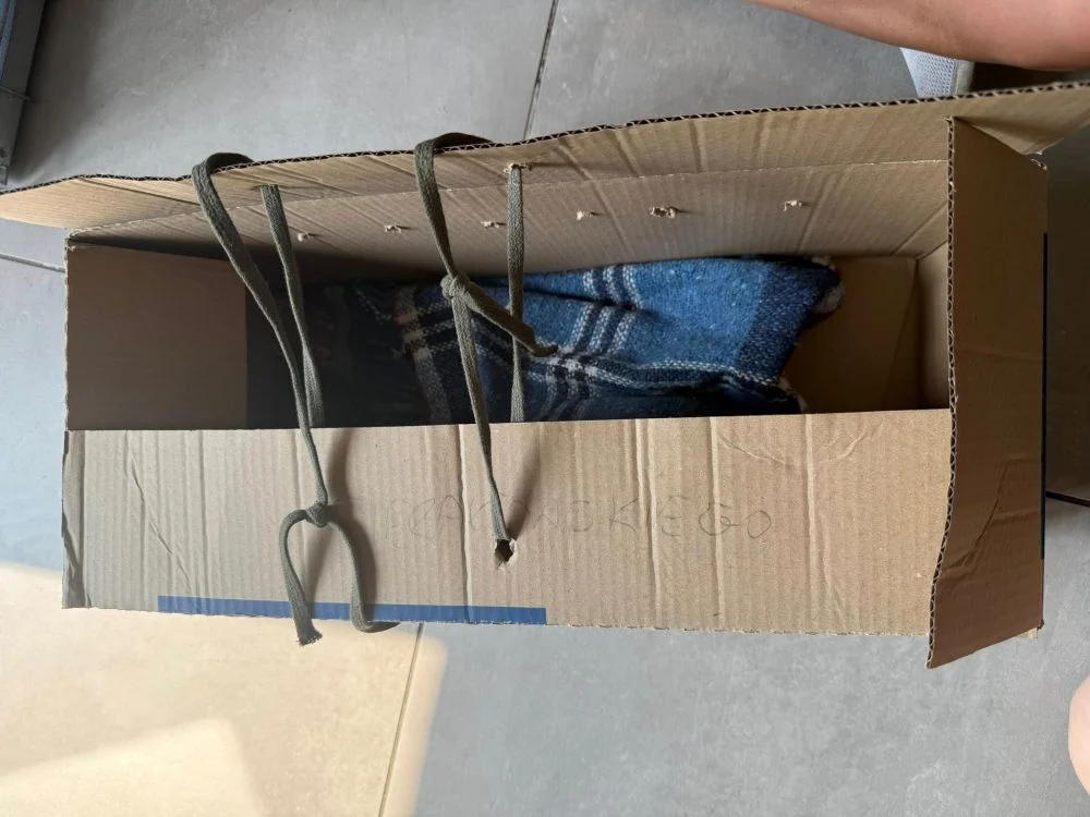 Cztery małe kocięta w kartonie porzucone na śmietniku. Schronisko prosi o pomoc