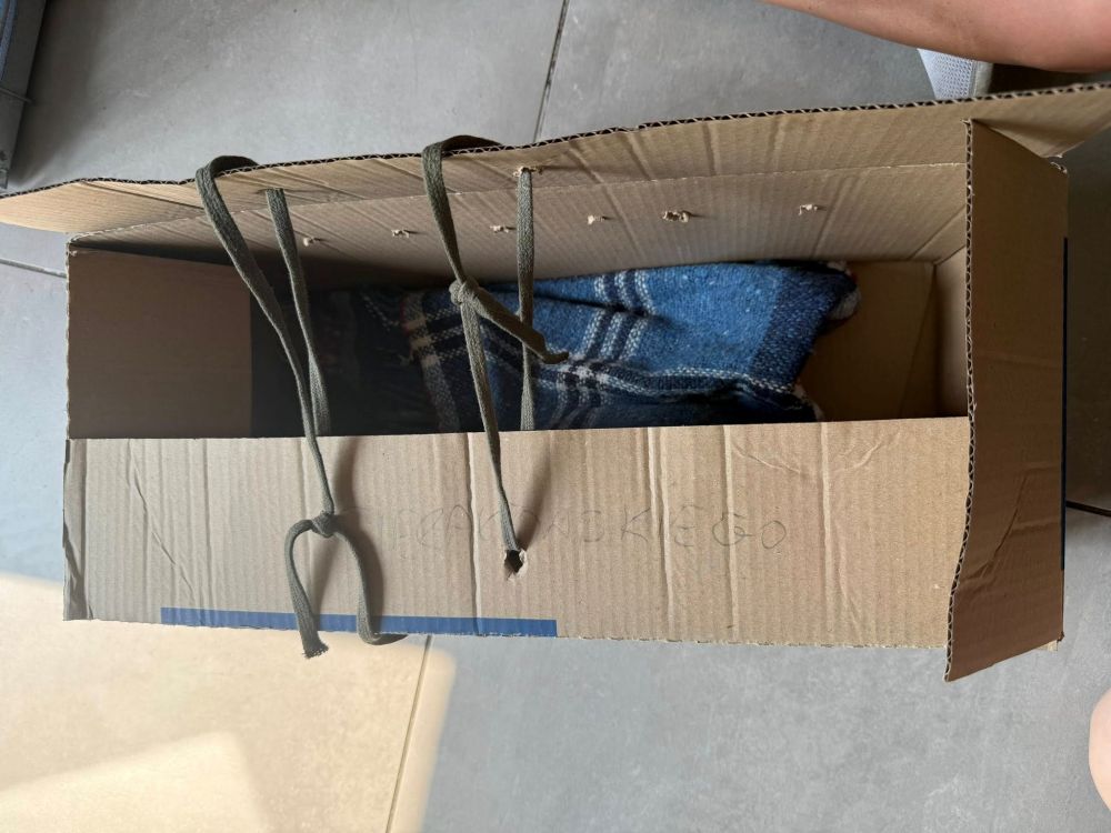 Cztery małe kocięta w kartonie porzucone na śmietniku. Schronisko prosi o pomoc