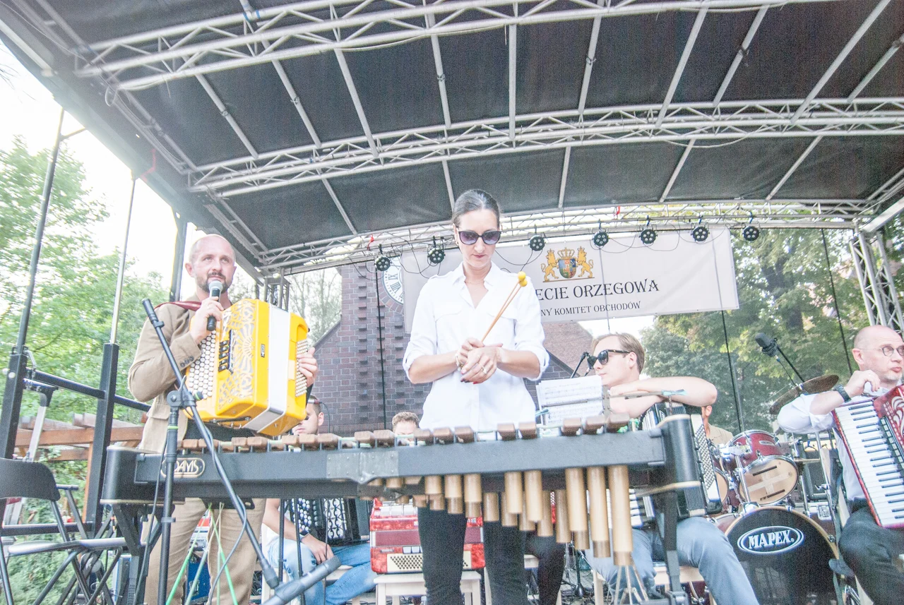 Festyn z okazji 720-lecia Orzegowa 71