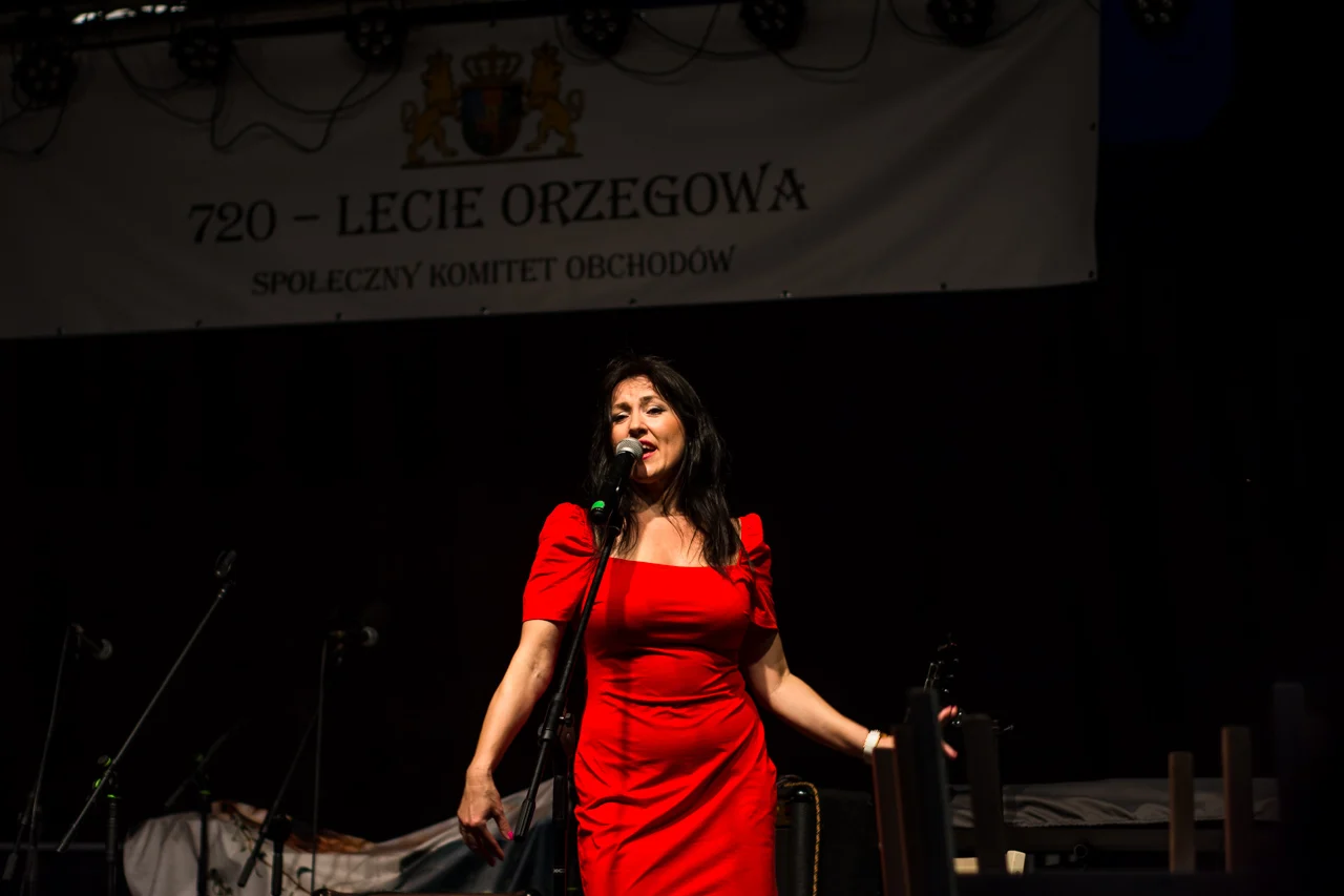 Festyn z okazji 720-lecia Orzegowa 84