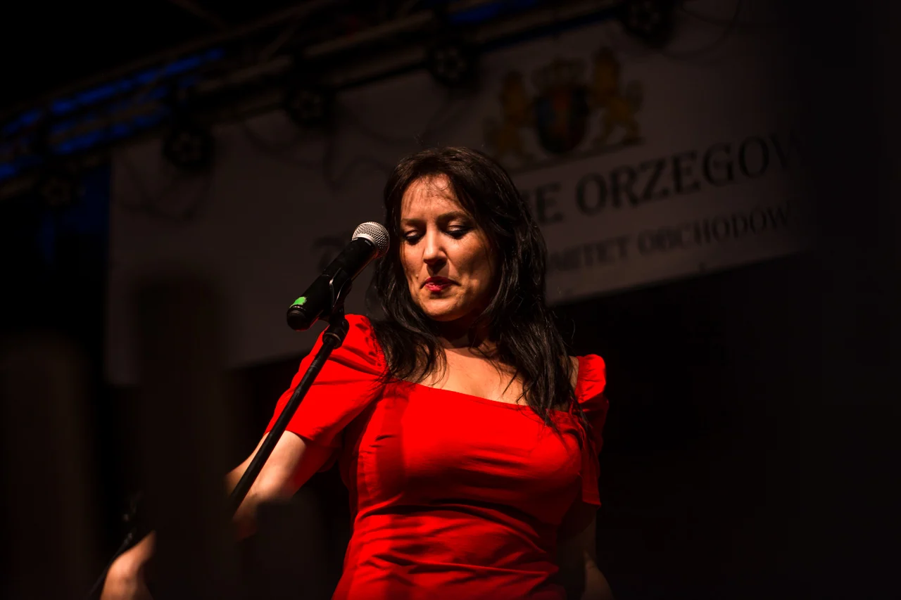 Festyn z okazji 720-lecia Orzegowa 86