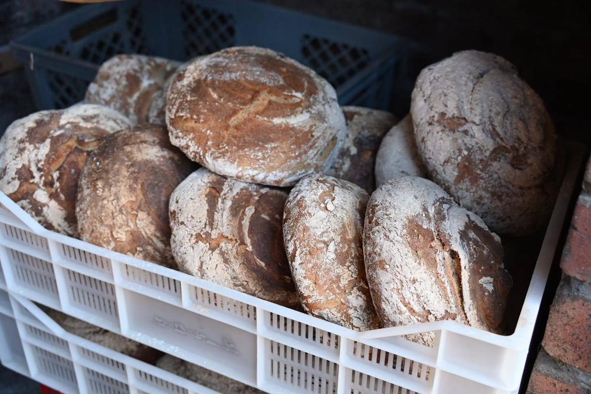 Festyn przy piekaroku 6