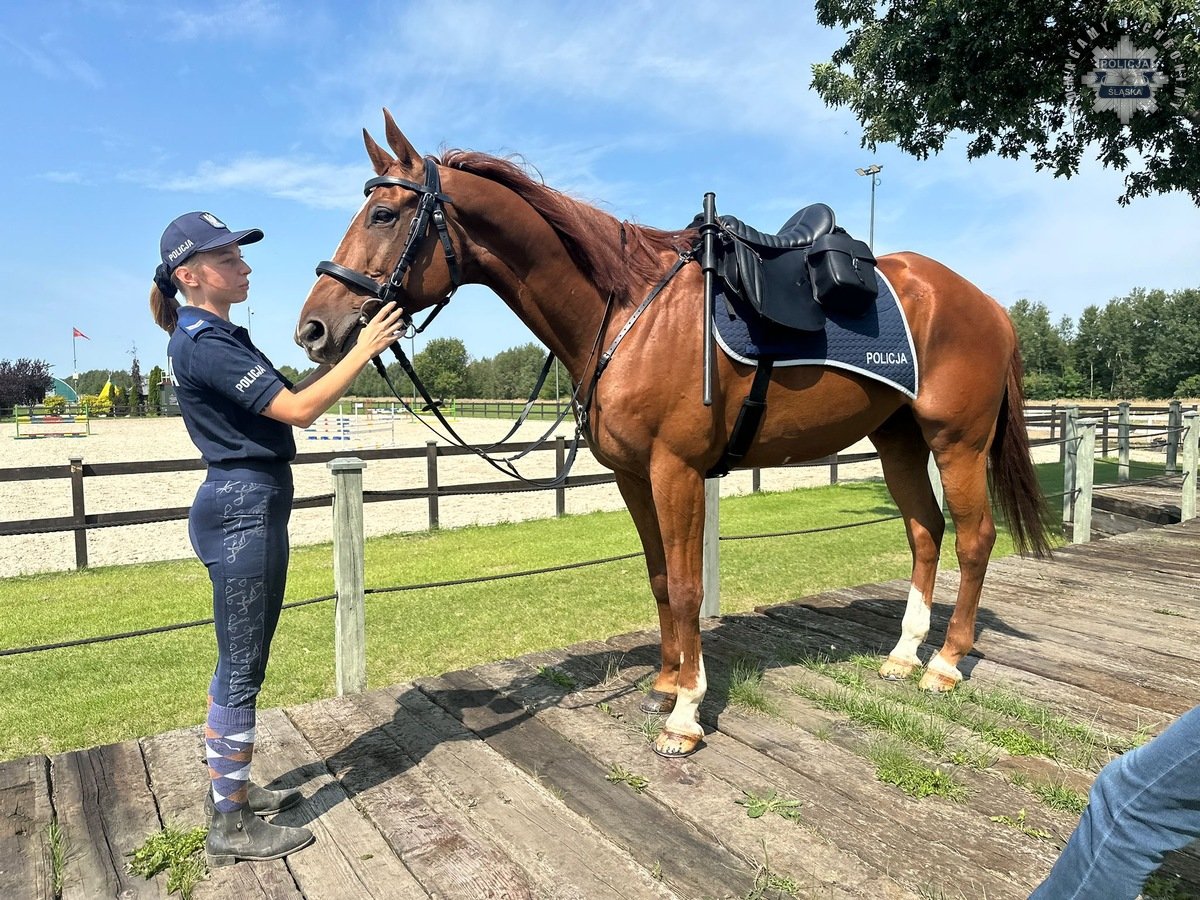 Nowe wyposażenie dla Policji Konnej w Częstochowie
