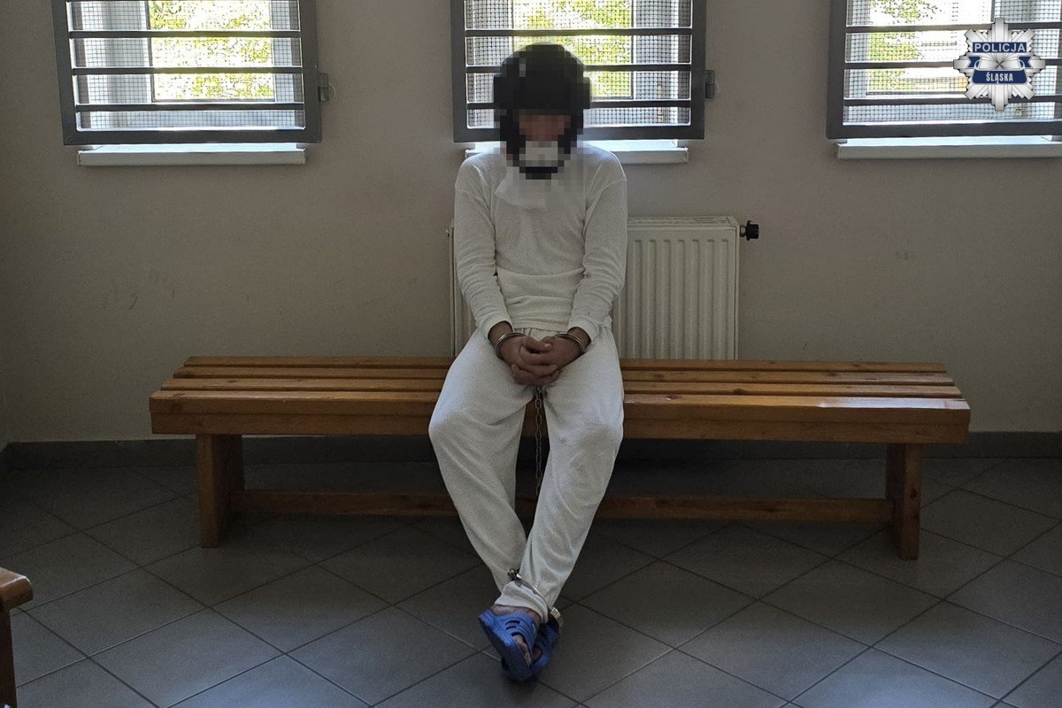 Zatrzymanie mężczyzny podejrzanego o zabójstwo 87-letniej kobiety w Dąbrowie Górniczej