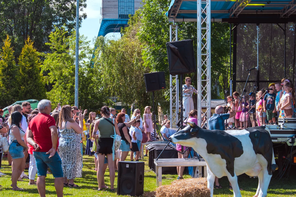 Muzyka, zabawa i atrakcje dla dzieci – nadchodzi Festyn na Szybiku