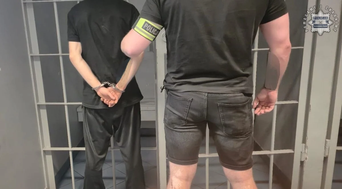 Ponad 700 działek narkotyków u 33-latka z Siemianowic Śląskich