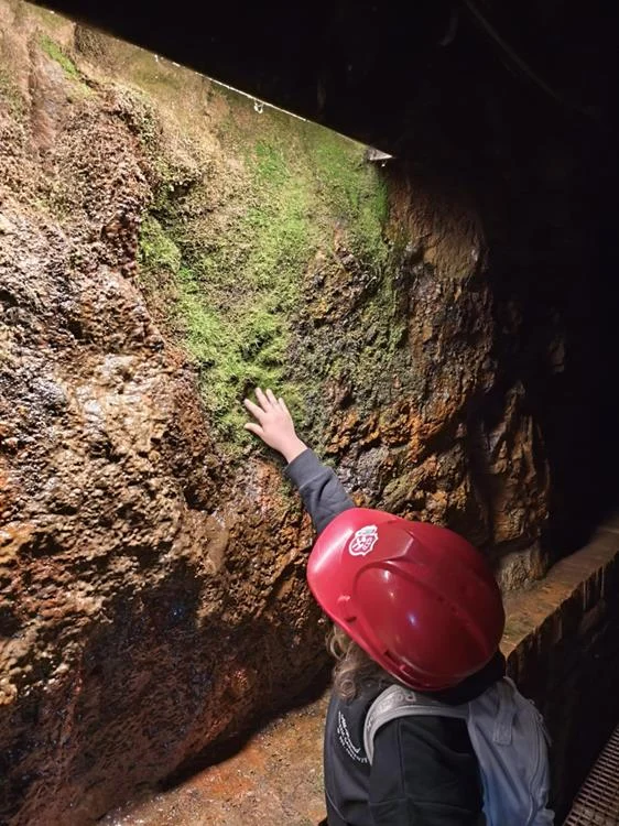Półkolonie w SP 6 w Zawiści / fot. UM Orzesze