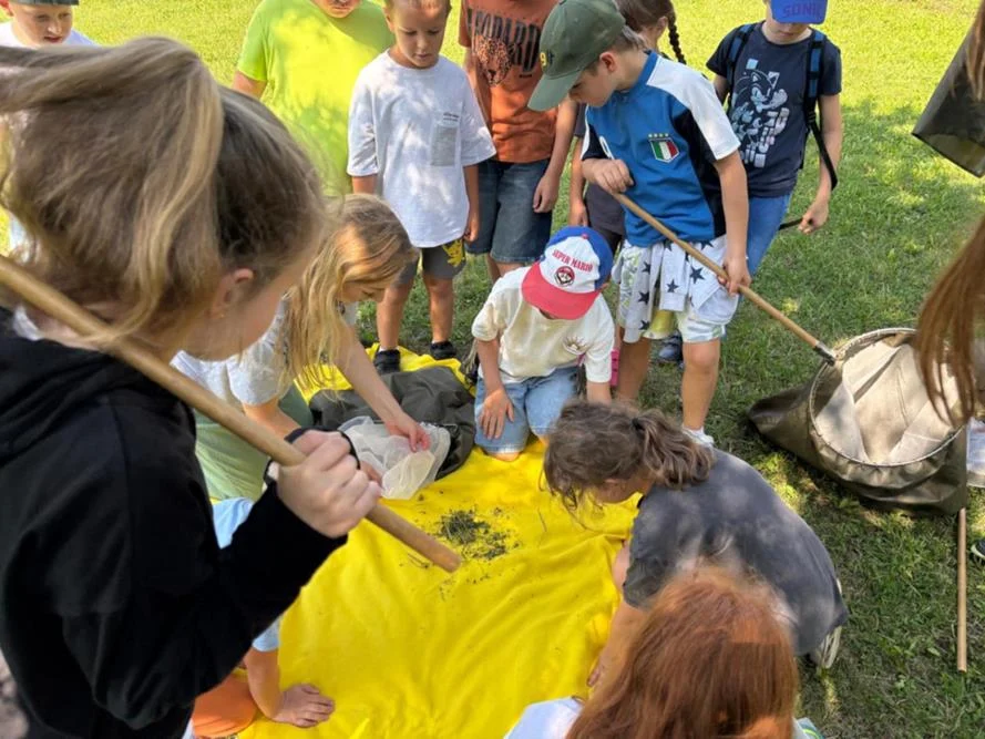 Półkolonie w SP 6 w Zawiści – pełne atrakcji dni dla dzieci