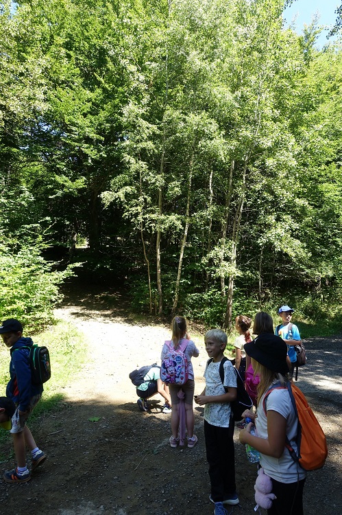 Półkolonie w Szkole Podstawowej nr 4 / fot. UM Orzesze