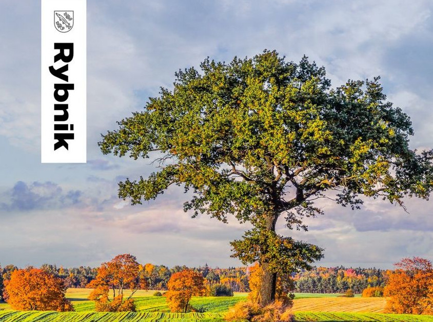 Spotkanie konsultacyjne w Rybniku: Nowe Standardy Ochrony Drzew