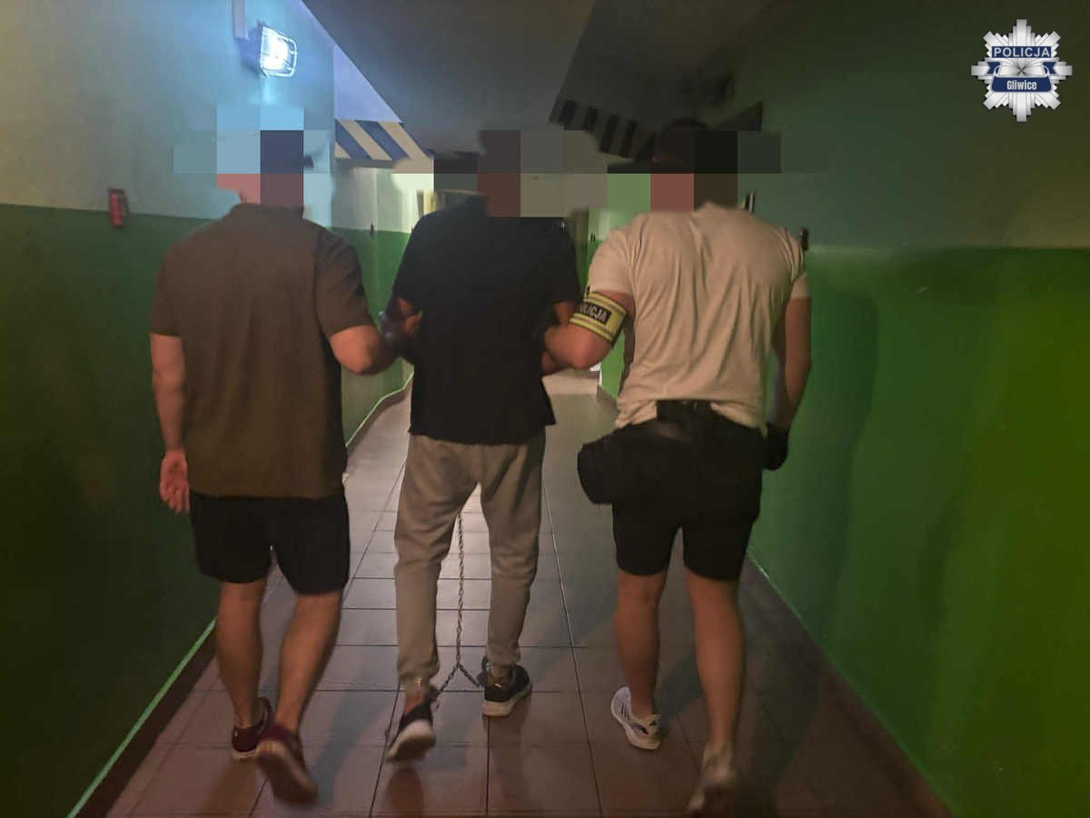 Przemoc domowa w Gliwicach: syn brutalnie pobił matkę, trafił do aresztu