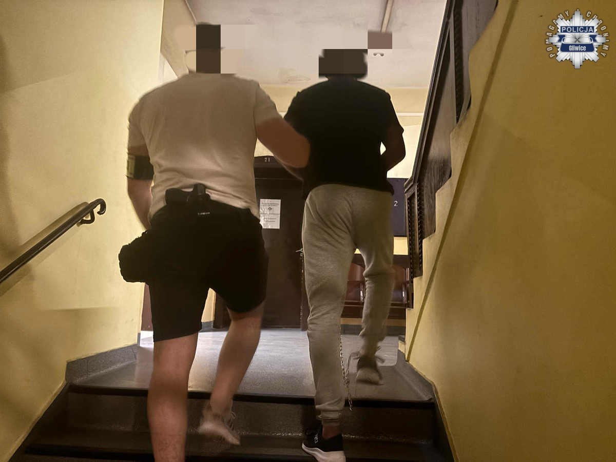 Przemoc domowa w Gliwicach: syn brutalnie pobił matkę, trafił do aresztu