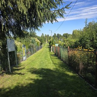 Jak zabezpieczyć ogródek działkowy przed kradzieżą? Skuteczne sposoby ochrony