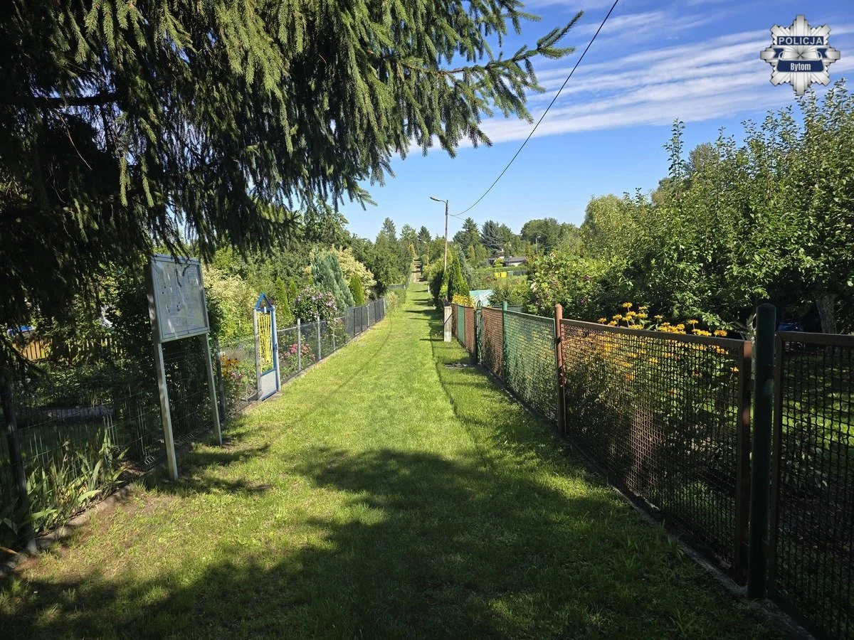 Jak zabezpieczyć ogródek działkowy przed kradzieżą? Skuteczne sposoby ochrony