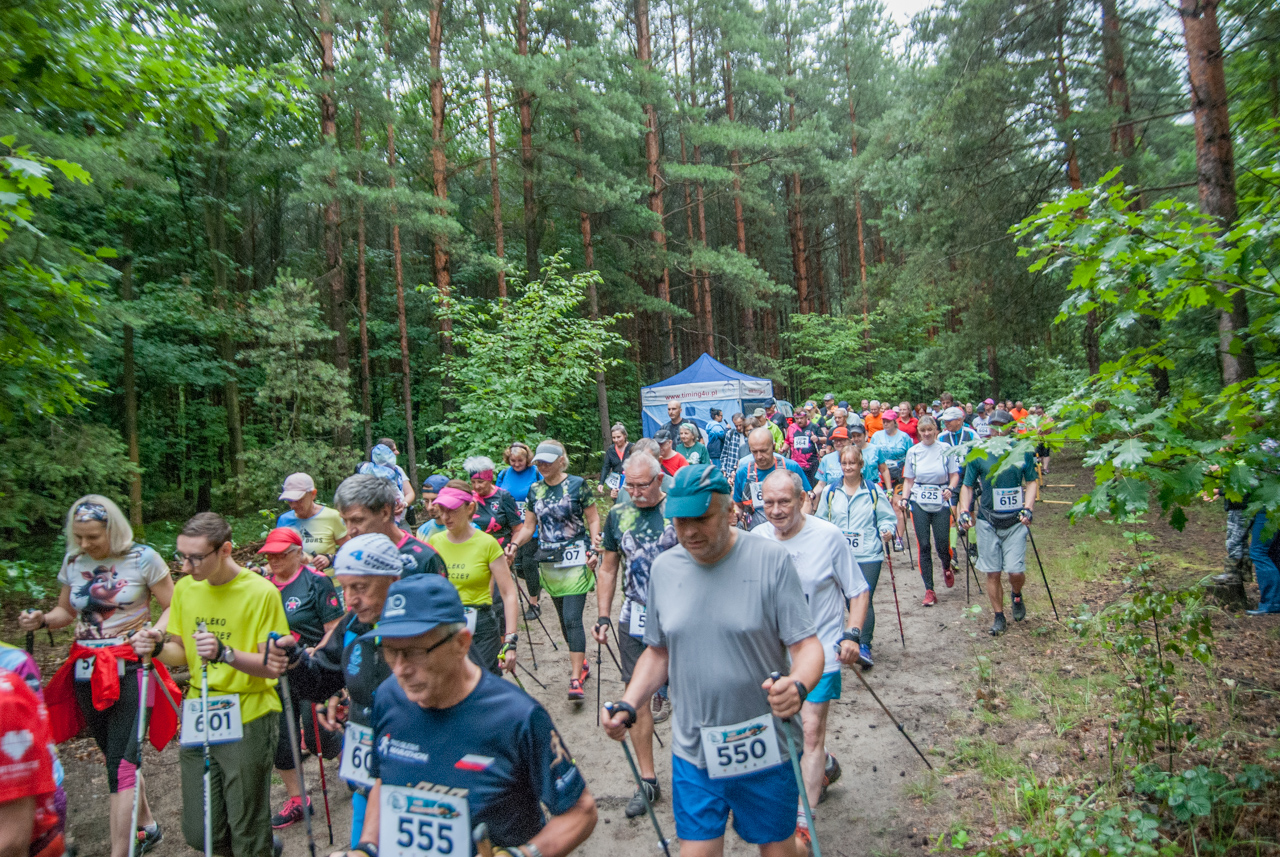 Bieg Dzika - sierpień 2025 17