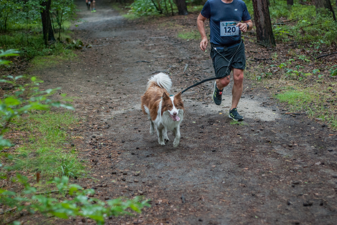 Bieg Dzika - sierpień 2025 54