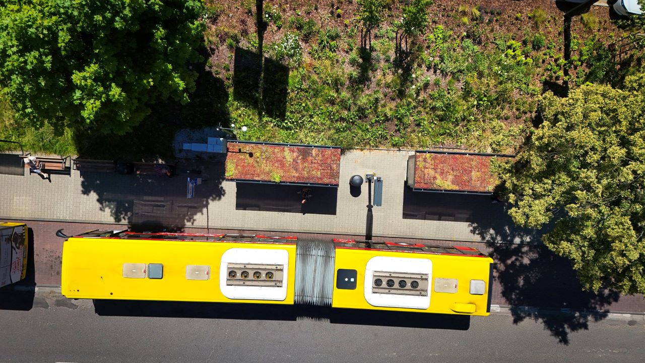 Cztery zielone przystanki w Katowicach: cieszą oko i monitorują jakość powietrza