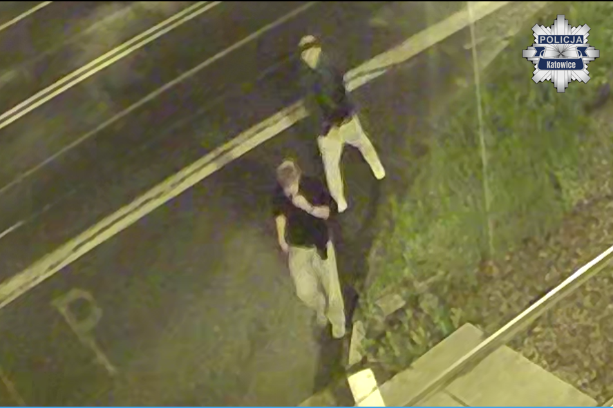 Podejrzewani o uszkodzenie ciała i przywłaszczenie — czy rozpoznajesz?