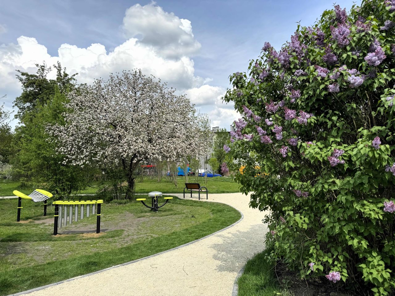 Budżet Obywatelski w Katowicach: znamy wyniki weryfikacji projektów