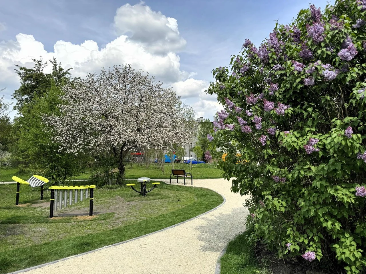 Budżet Obywatelski w Katowicach: znamy wyniki weryfikacji projektów