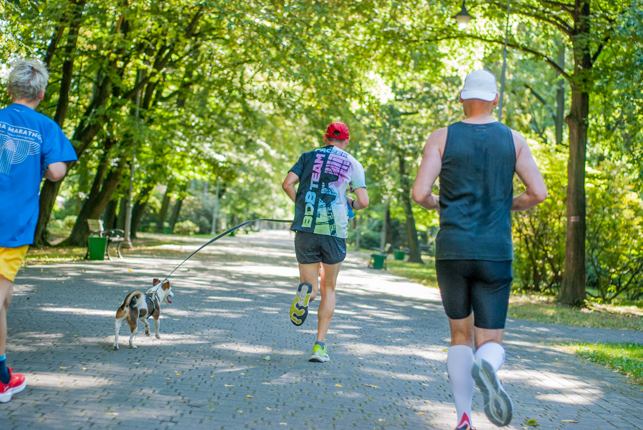 parkrun po śląsku 2025 66
