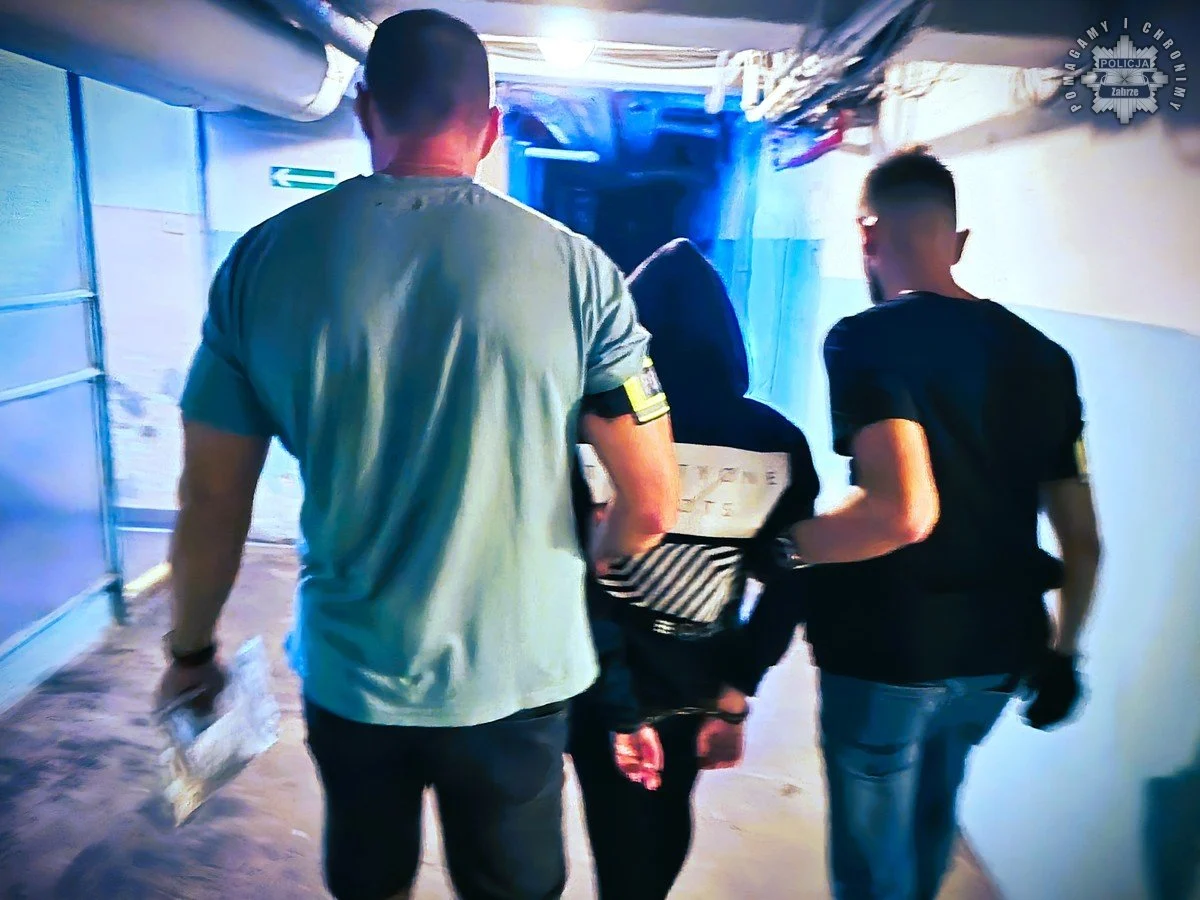 Dramat w Zabrzu. Kobieta znęcała się nad partnerem i dziećmi!