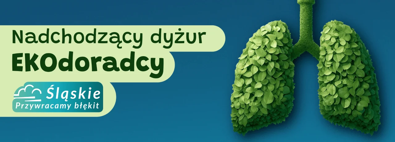 Dofinansowania i czyste powietrze – przyjdź na dyżur Ekodoradcy w Świętochłowicach