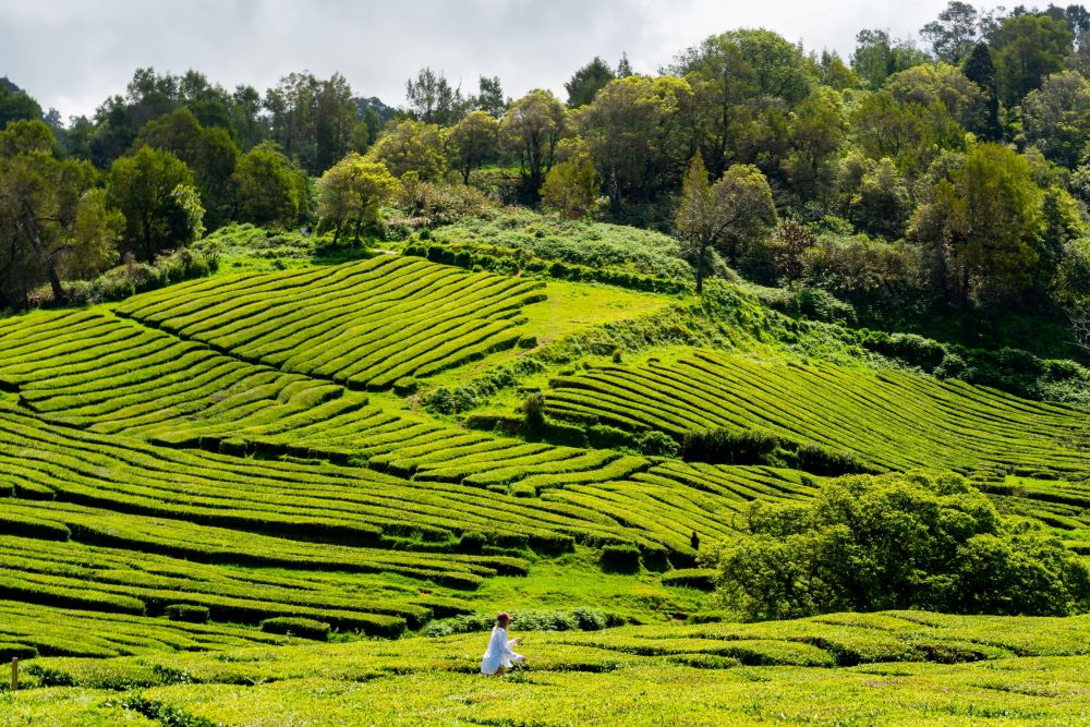 Portugalia – mały kraj, wielka przygoda. Co warto zobaczyć podczas wakacji?