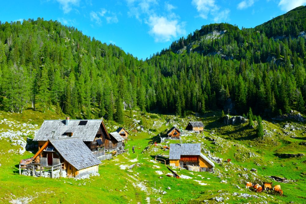 Słowenia pełna cudów: natura, relaks i niezapomniane widoki