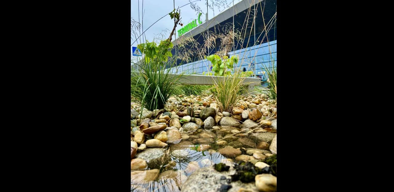 Pierwsze ogrody deszczowe w Świętochłowicach powstaną jeszcze w tym roku