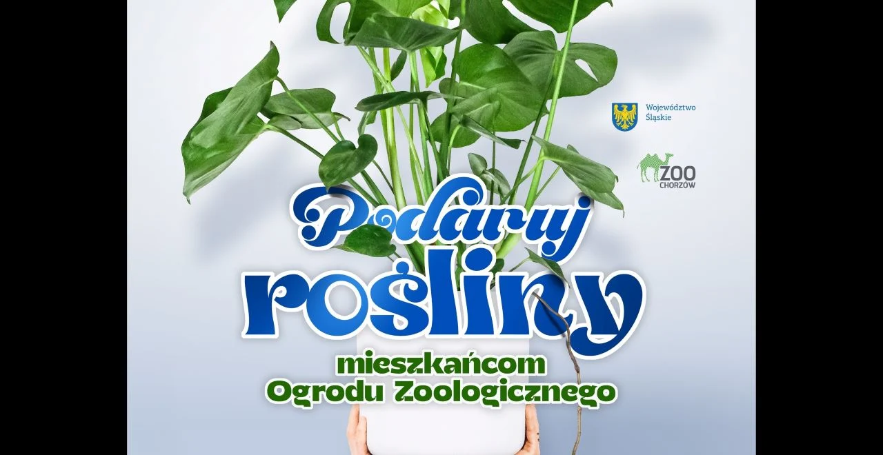 Podaruj rośliny tropikalne Śląskiemu Zoo i pomóż stworzyć naturalne terraria