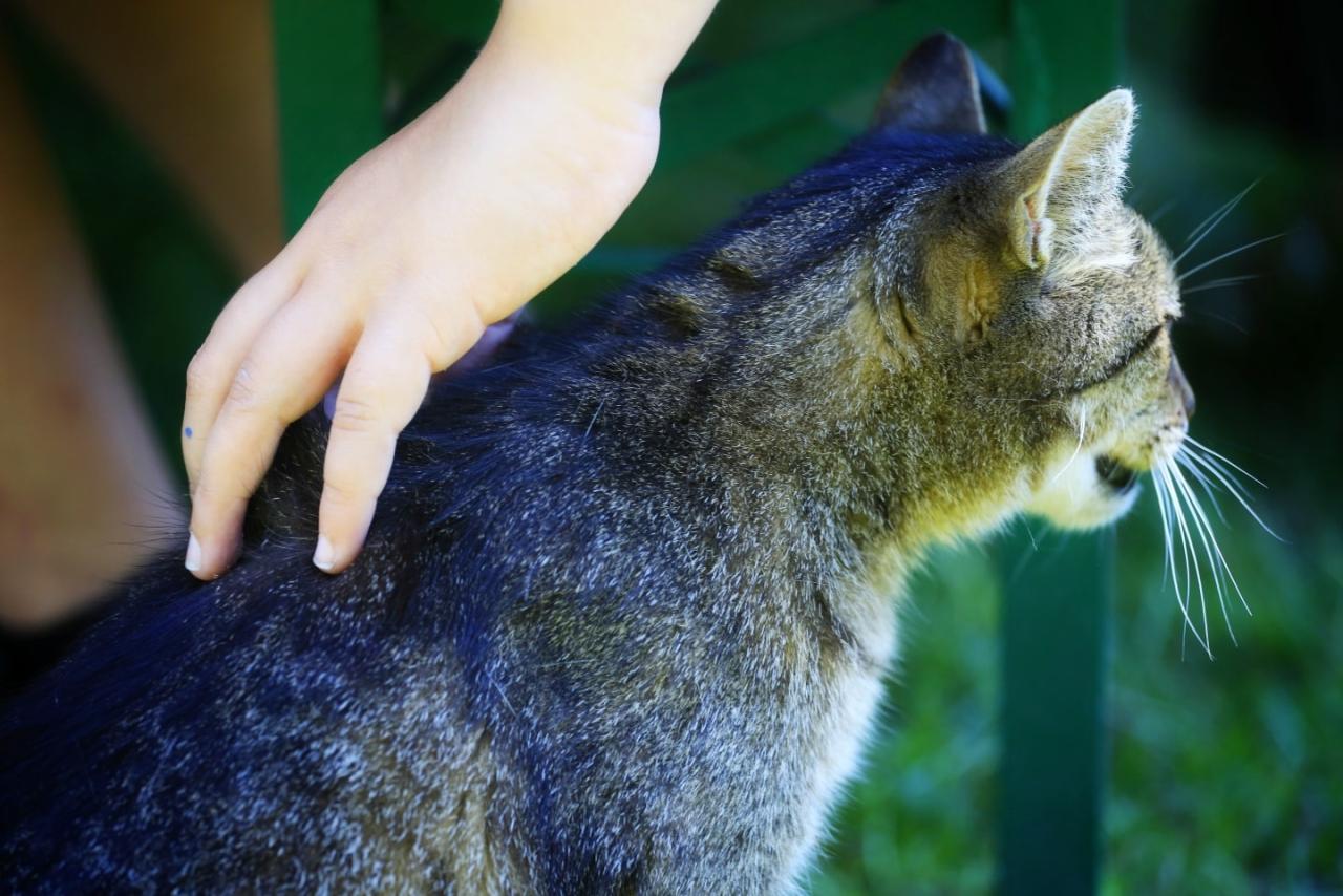 Etnowakacje - warsztaty 5