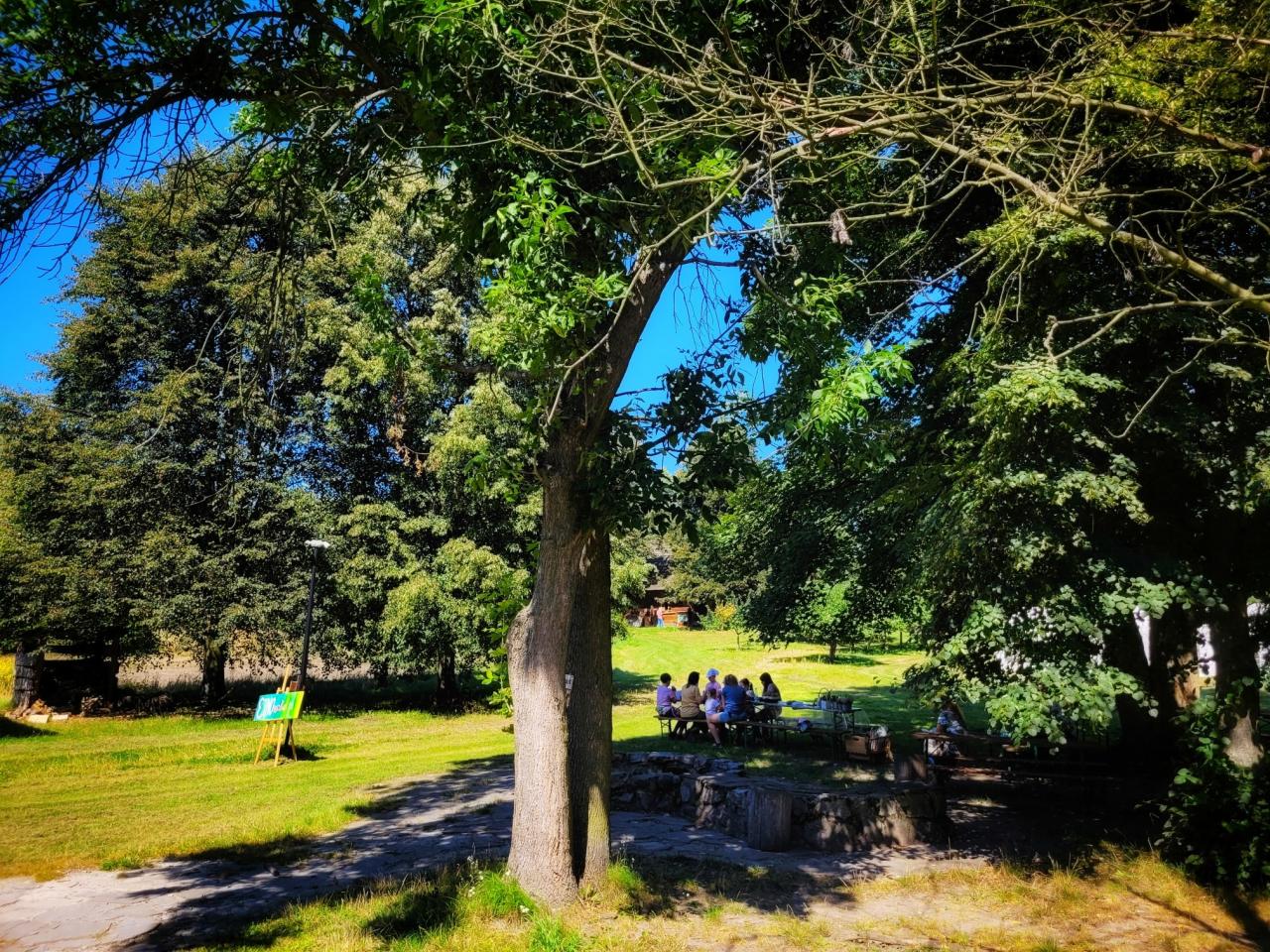 Etnowakacje - warsztaty 6