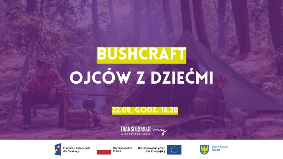 grafiki event transfor (35).png