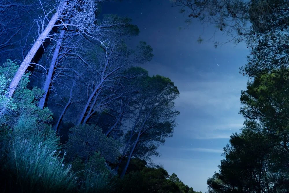 Gdy światło znika, technologia przejmuje kontrolę – współczesne urządzenia obserwacyjne