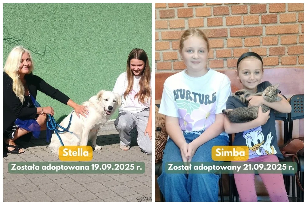 Kolejne schroniskowe zwierzaki w nowych domach. Sprawdź podsumowanie tygodnia!